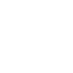 فن اندیش 1