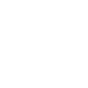 فن اندیش 1