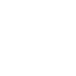 ناردیس 1