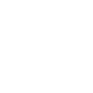 ناردیس 1